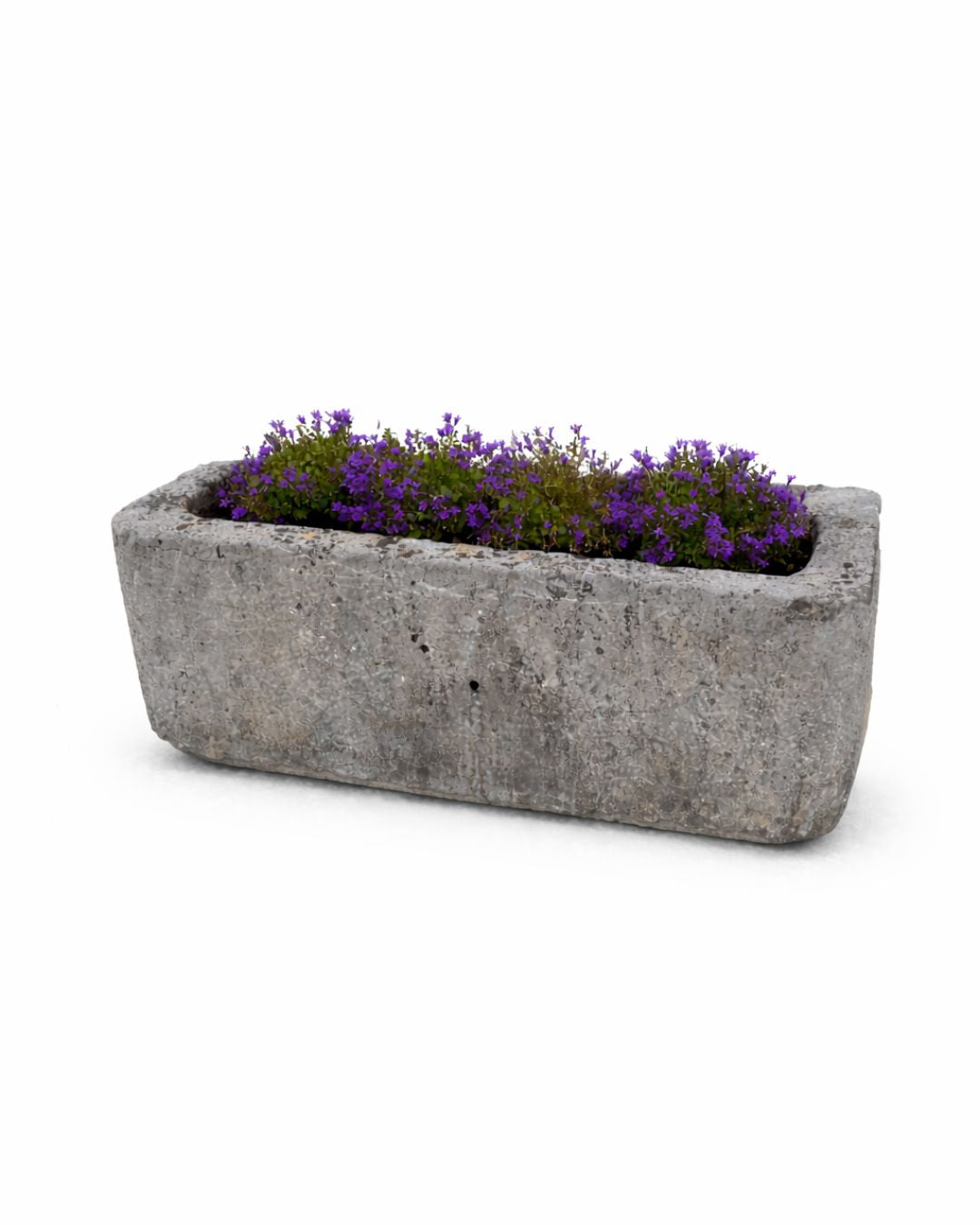 Ancien abreuvoir (40 x 100 x 32 cm)