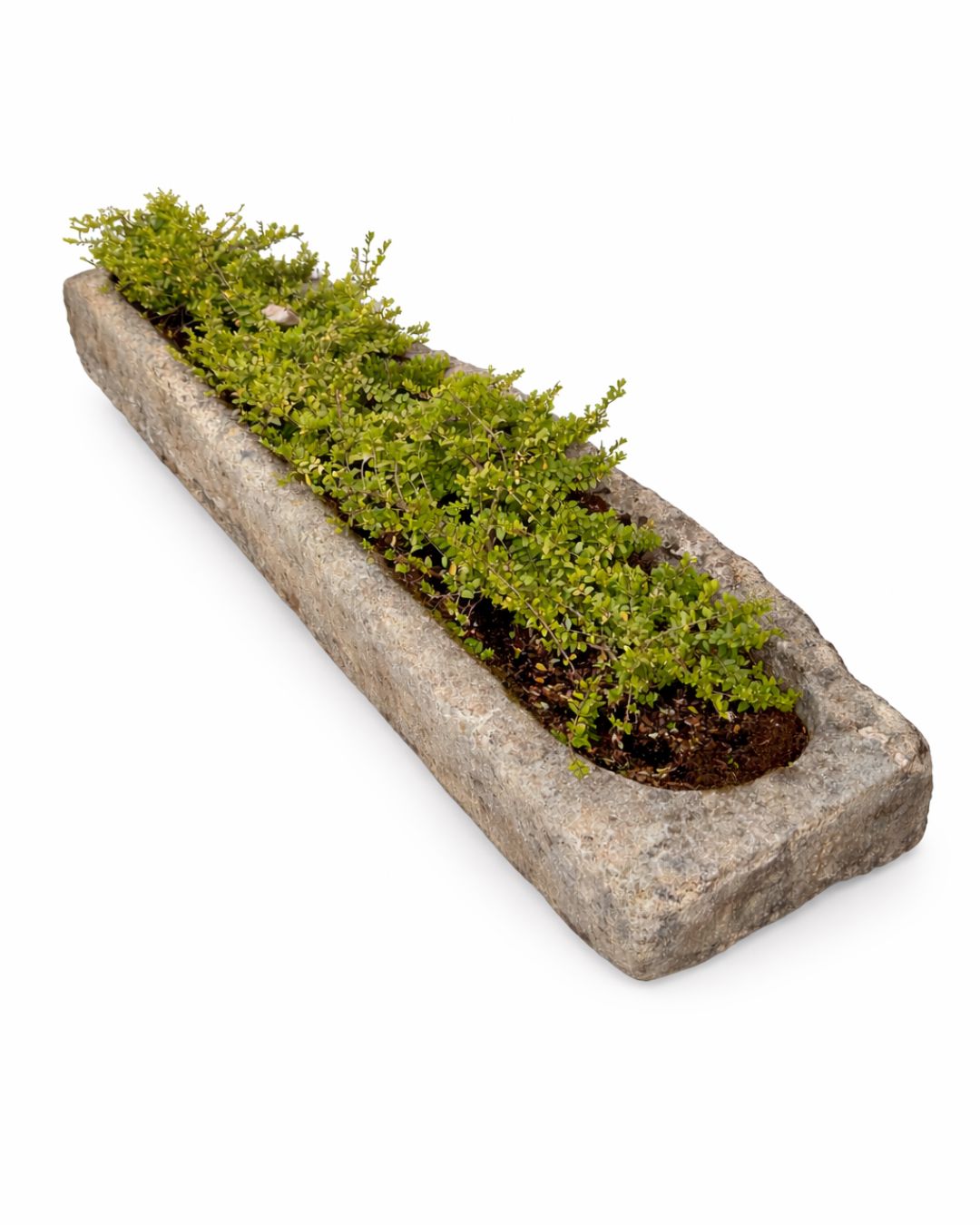Old water trough (45 x 223 x 28 cm)