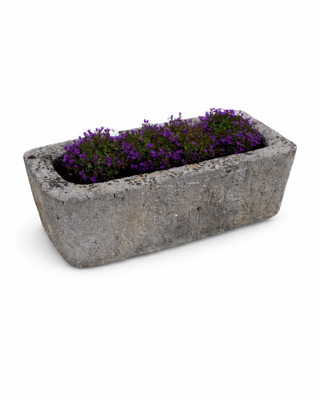 Ancien abreuvoir (40 x 100 x 32 cm)