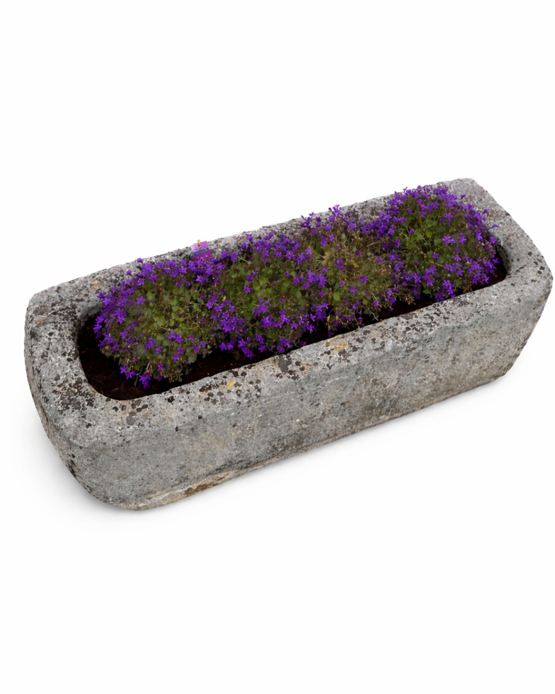 Ancien abreuvoir (40 x 100 x 32 cm)