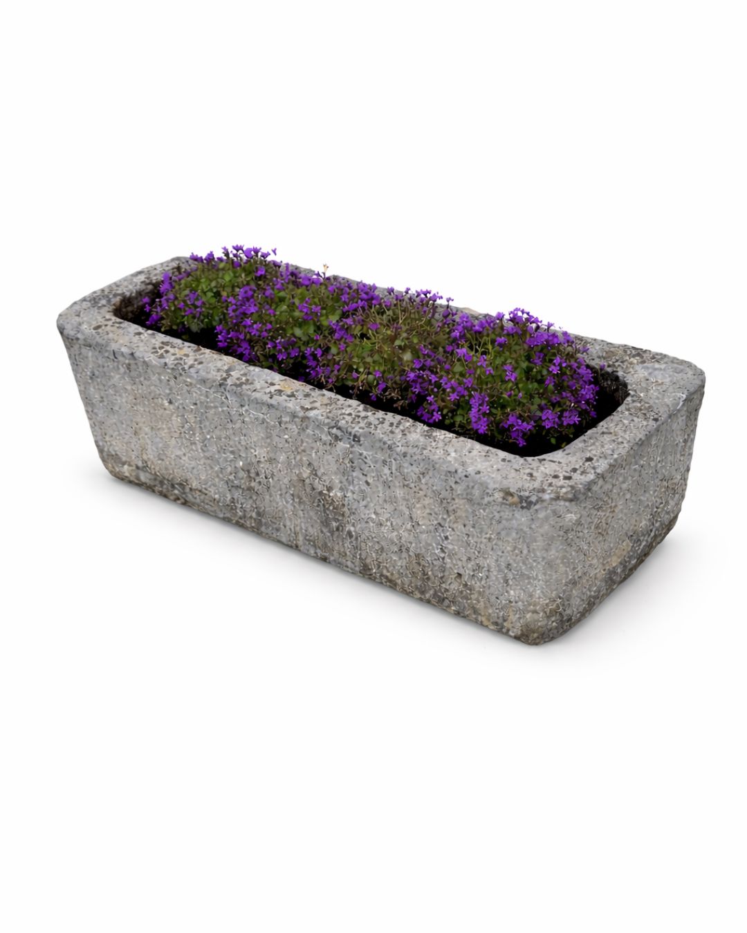 Ancien abreuvoir (40 x 100 x 32 cm)