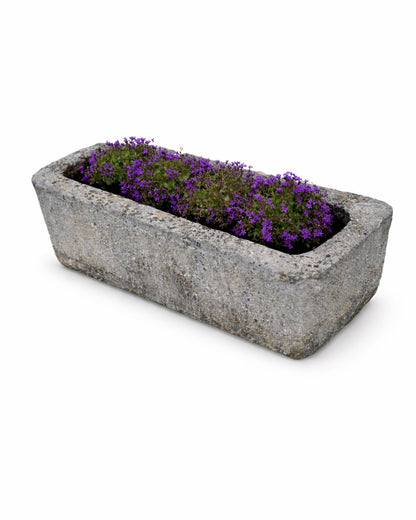 Ancien abreuvoir (40 x 100 x 32 cm)