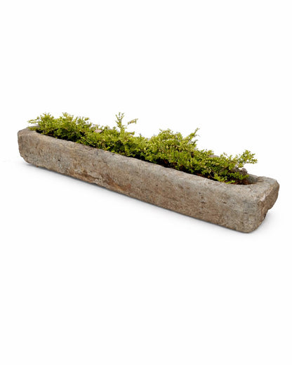 Old water trough (45 x 223 x 28 cm)
