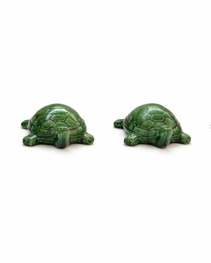 Turtles