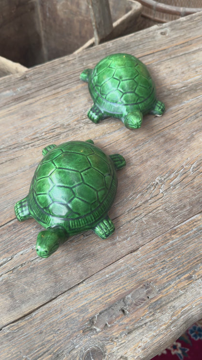 Turtles